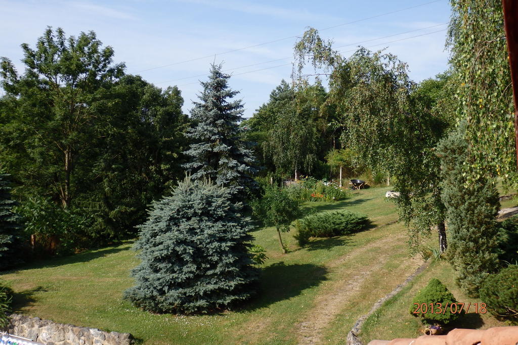 Villa Blanka Horní Podkozí Exteriör bild