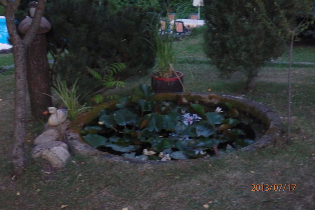 Villa Blanka Horní Podkozí Exteriör bild