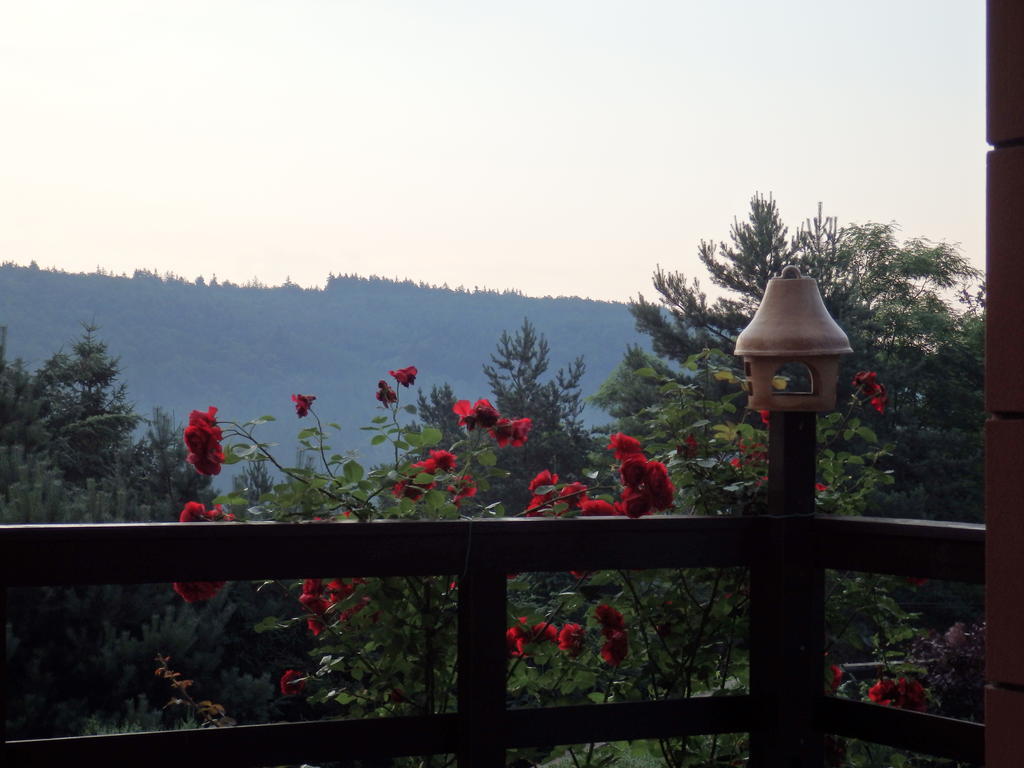 Villa Blanka Horní Podkozí Exteriör bild