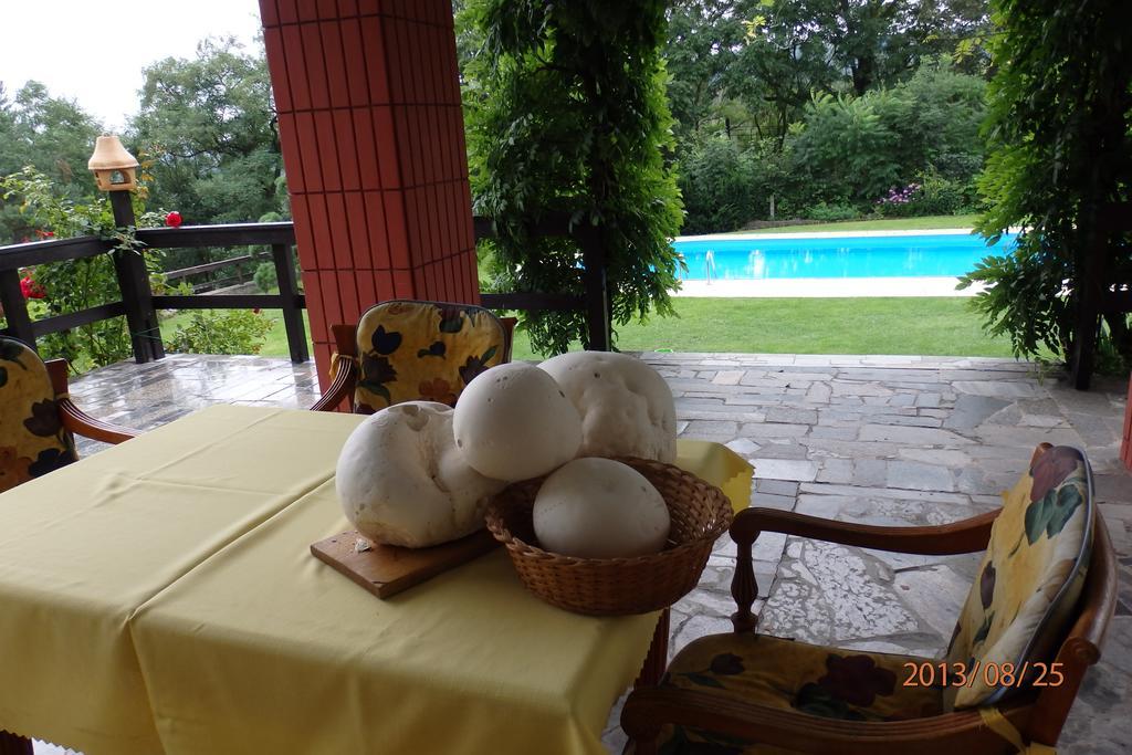 Villa Blanka Horní Podkozí Exteriör bild
