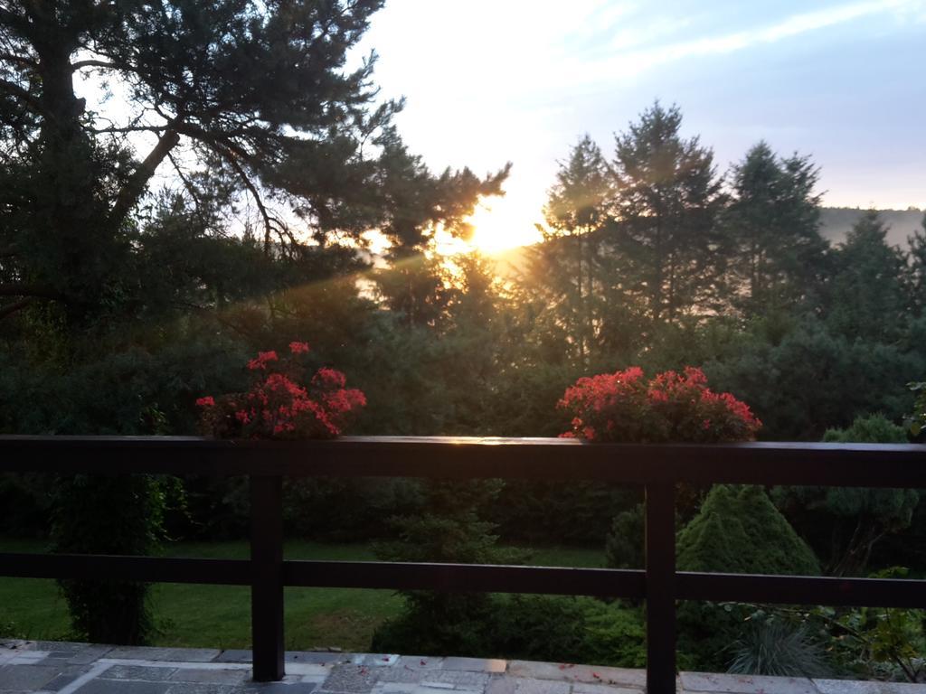 Villa Blanka Horní Podkozí Exteriör bild