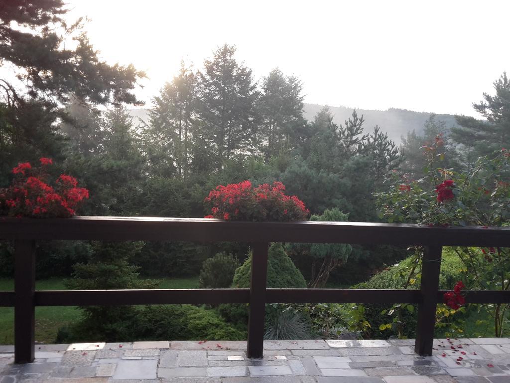 Villa Blanka Horní Podkozí Exteriör bild