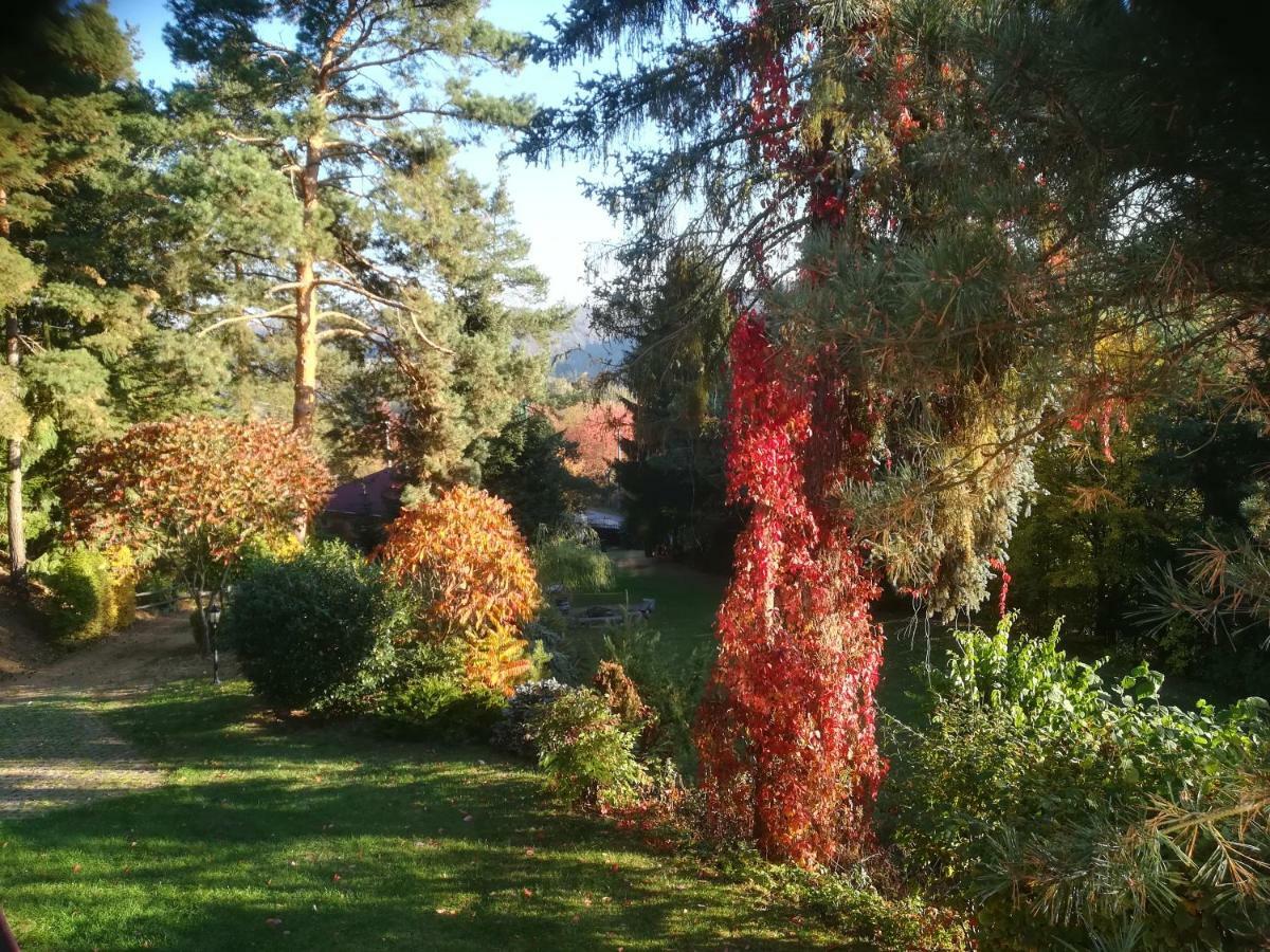 Villa Blanka Horní Podkozí Exteriör bild
